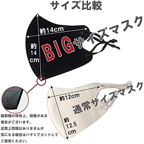 大きいマスク 2