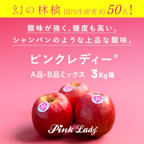 ピンクレディー 2