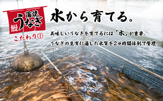 国産うなぎ蒲焼 山椒付き 6