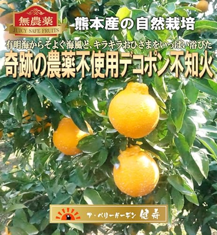 不知火 デコポン 3