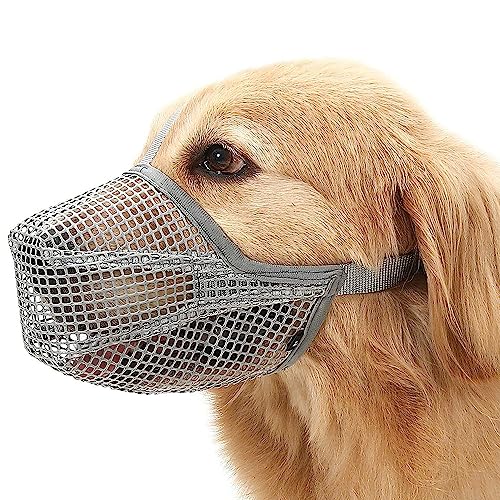 犬用マズル口輪 1