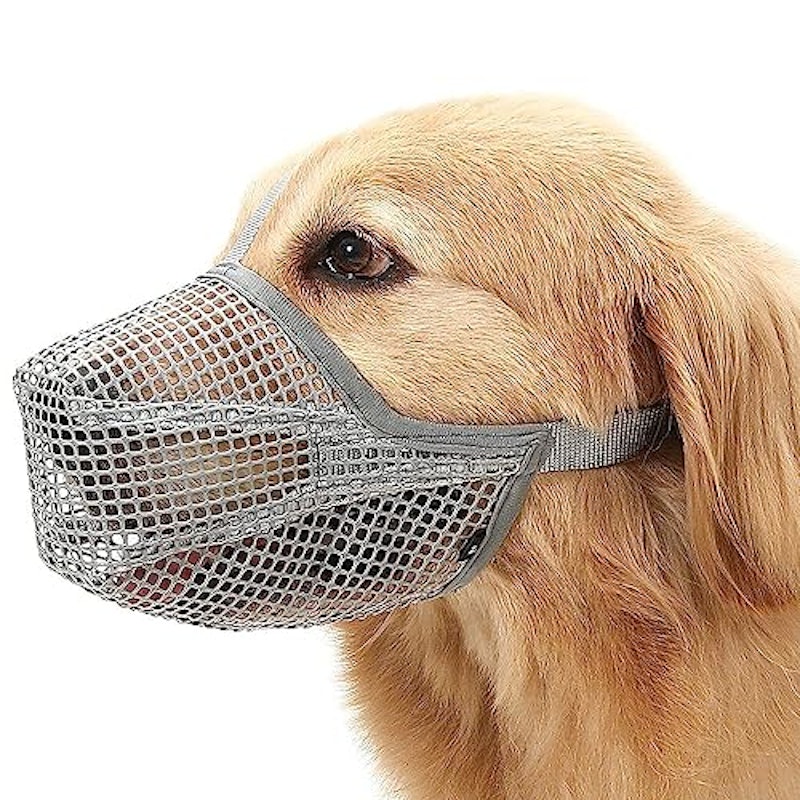 犬用マズル口輪 1