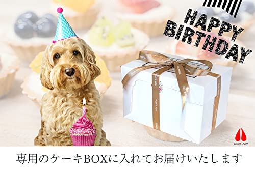犬用ケーキ 6