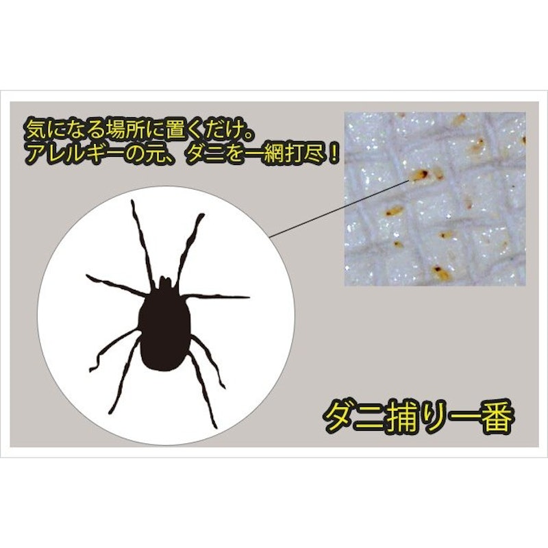 ダニ捕り一番 2