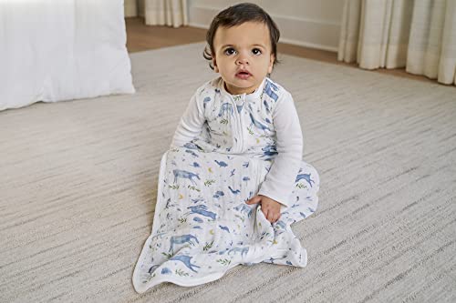 outdoors-sleepy forest organic sleeping bag 3