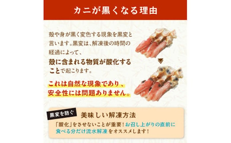 本ズワイガニ1kg 8