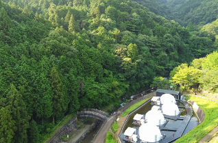 FOREST GLAMPING 1