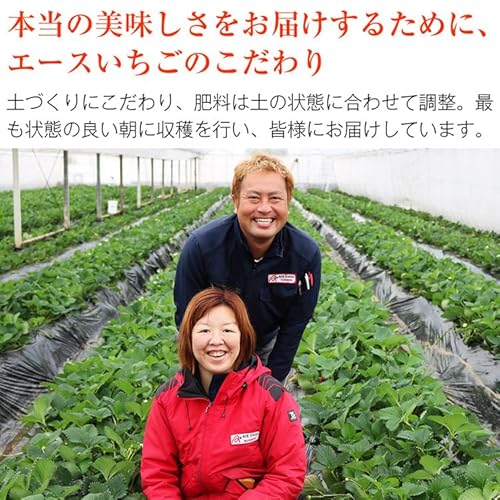 食の達人 あまおういちごバターと、あまおういちごジャムをセット 5