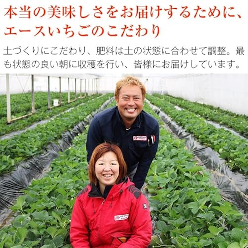 食の達人 あまおういちごバターと、あまおういちごジャムをセット 5