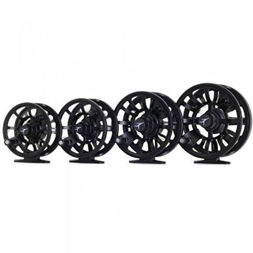 ION Reels 3