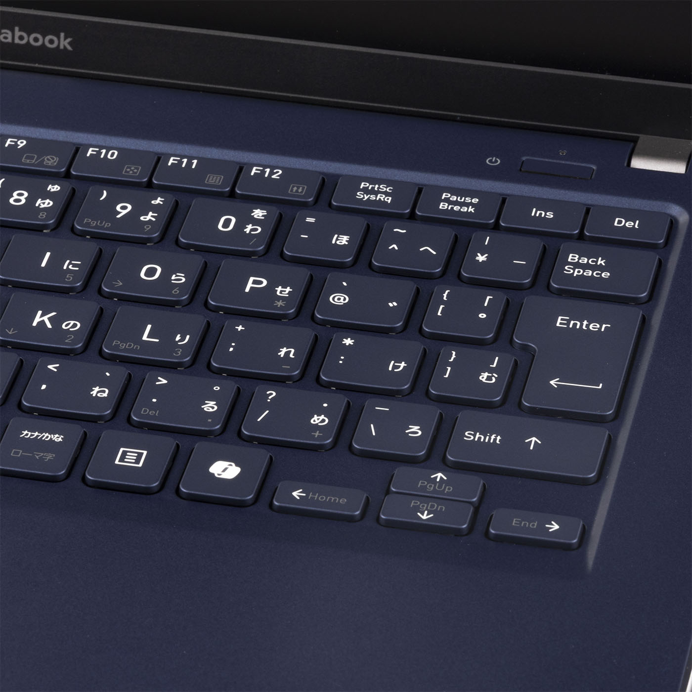 XP6 6