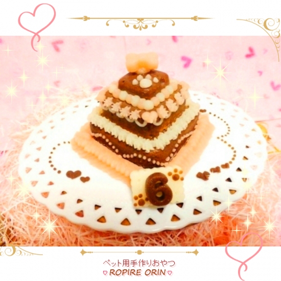 猫用ケーキのおすすめ人気ランキング【2026年2月】 | マイベスト