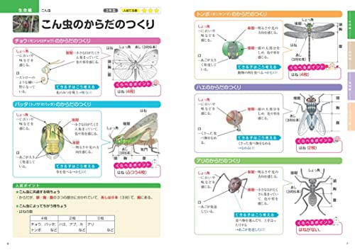 理科 新装版 3