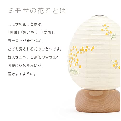 おかえり提灯　ミモザ 5