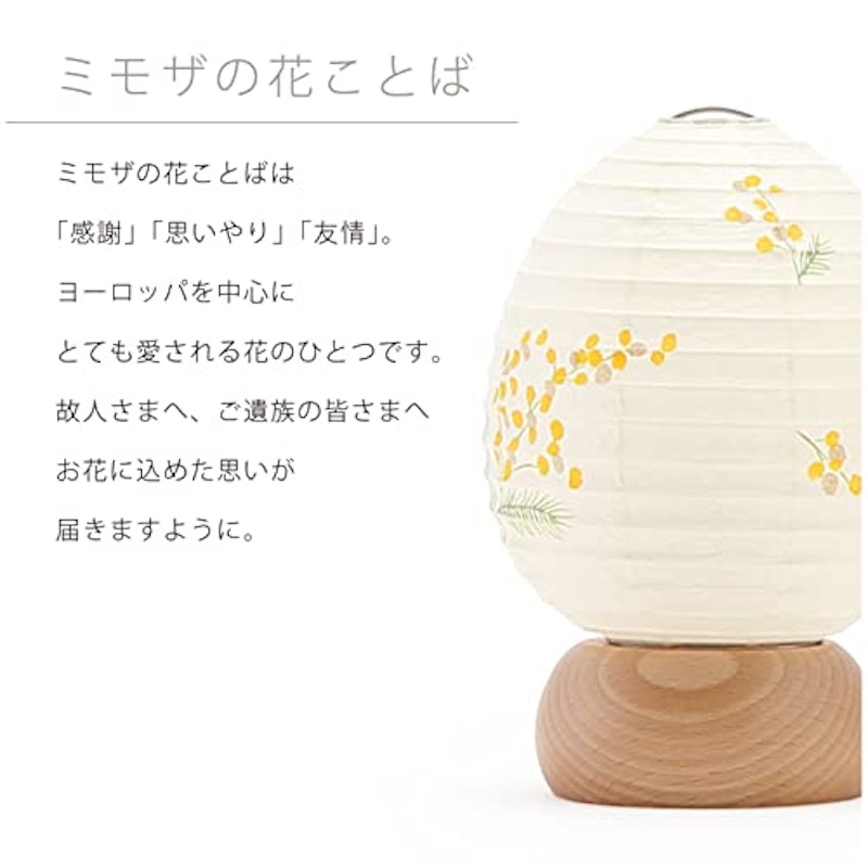 おかえり提灯 ミモザ 5