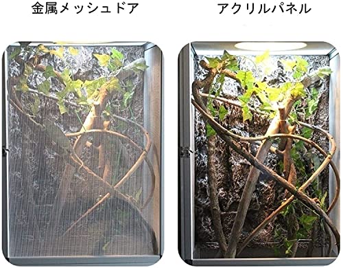 飼育ケース 4