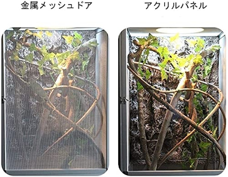 飼育ケース 4