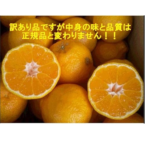 不知火 2