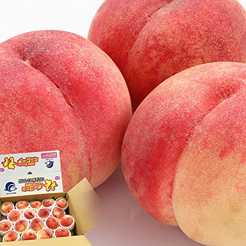 福島県産の桃のおすすめ人気ランキング【2025年12月】 | マイベスト