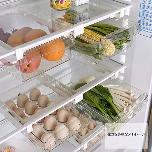 卵ケース 4