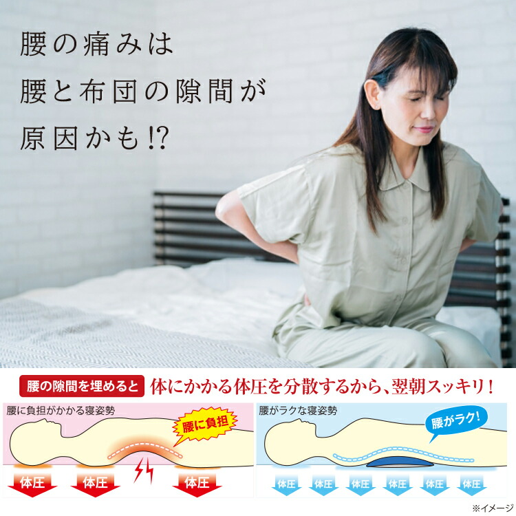 身体と眠りのプロが考えた　腰まくら 2