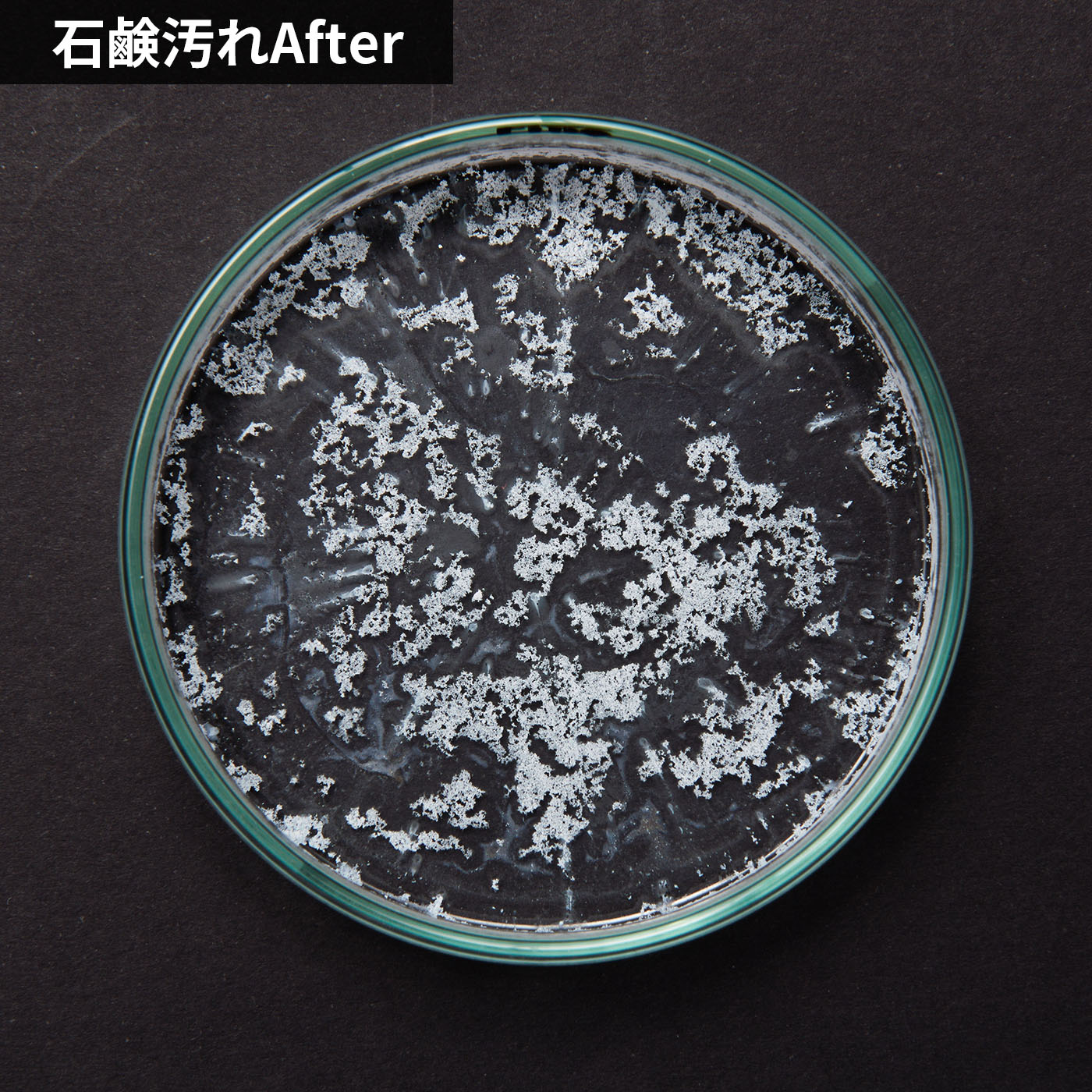 洗濯槽のカビ丸洗浄 7