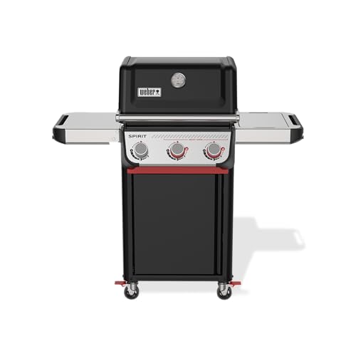 E-325 Gas Grill 1