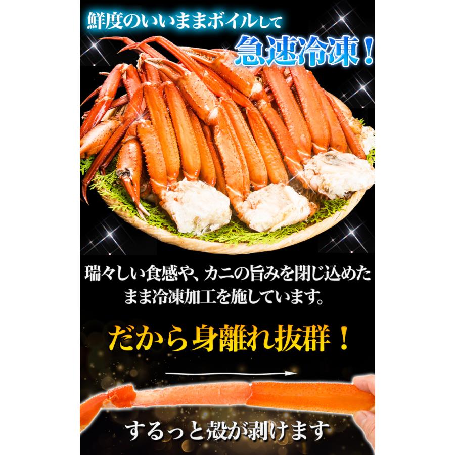 ボイルトゲズワイガニ肩付脚 3