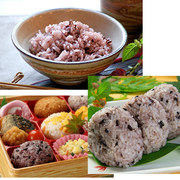 もち麦 黒米 4