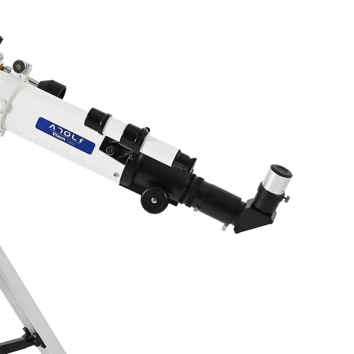 乃木坂46 中村麗乃 乃木坂リズムフェスティバル サイン入り