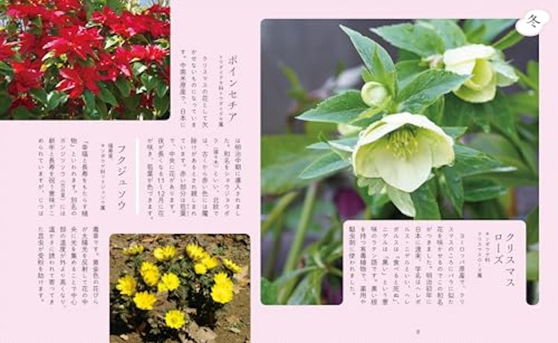 神秘的で美しい花図鑑 3