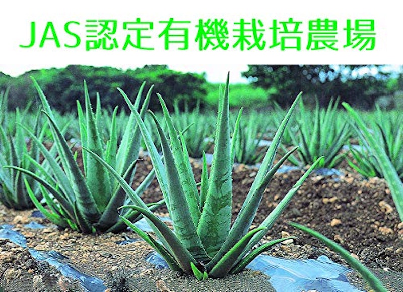 アロエベラジュース 2