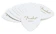 Fender Musical Instruments 346 SHAPE CLASSIC CELLULOID PICKS 1