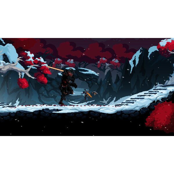 Death's Gambit:Afterlife 2