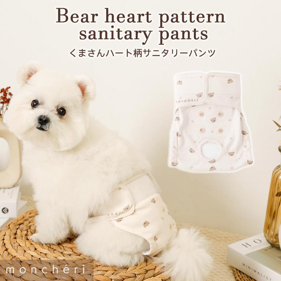 サニタリーパンツ 1