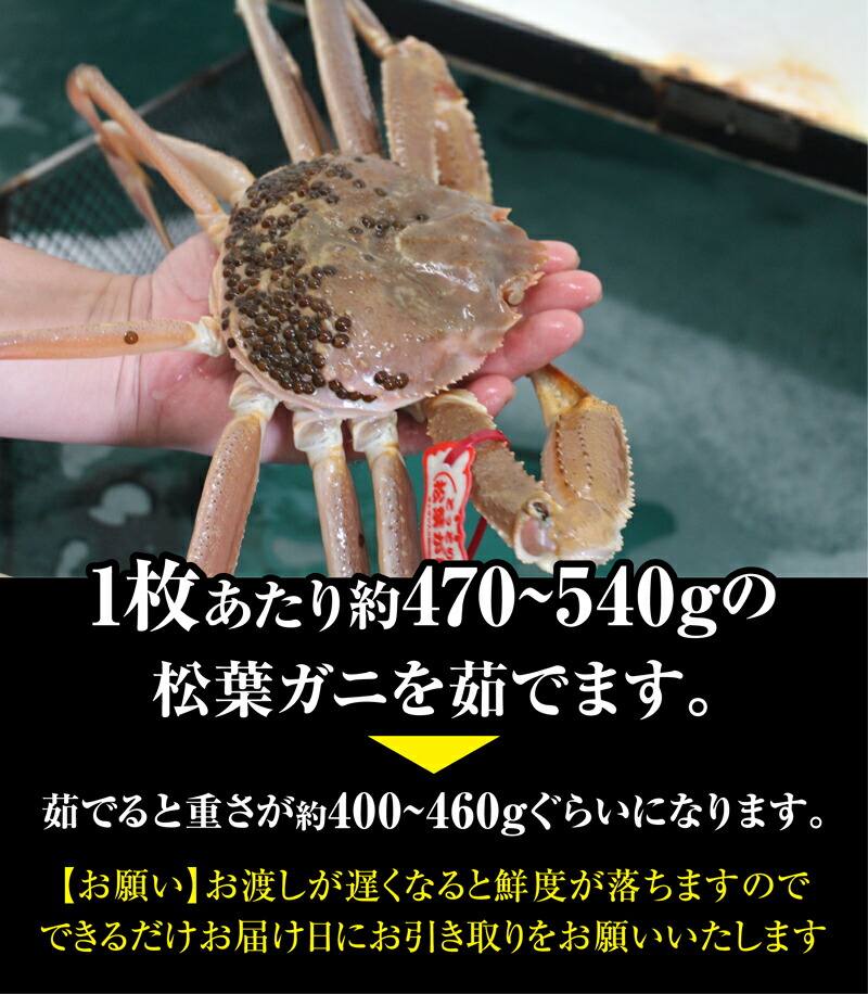 山陰沖日本海産 松葉ガニ 3