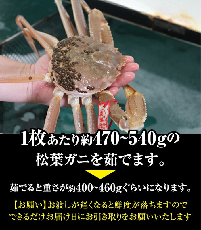 山陰沖日本海産 松葉ガニ 3