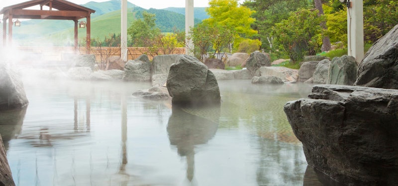 白樺リゾート 池の平ホテル 1