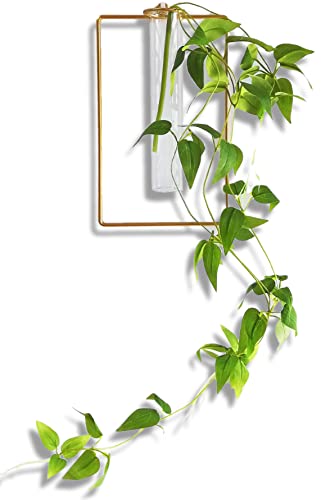 枝物向け花瓶のおすすめ人気ランキング【2026年6月】 2