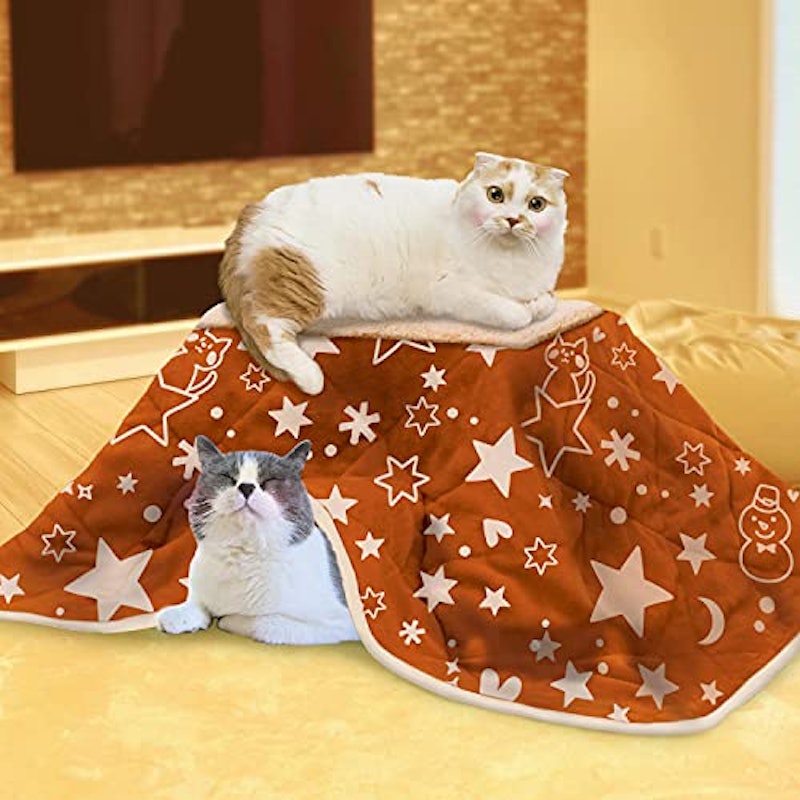 ねこの夢こたつ 2