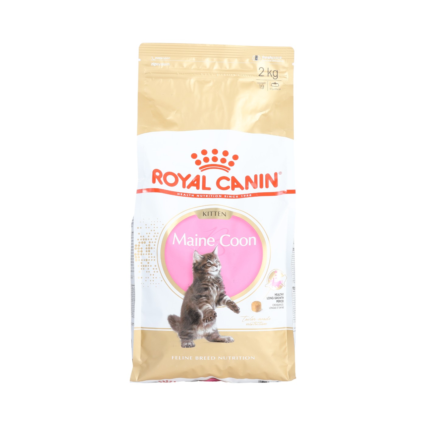 メインクーン 専用フード 子猫用 1
