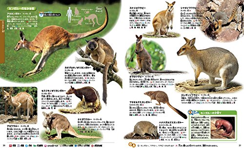 21年 動物 図鑑のおすすめ人気ランキング10選 Mybest