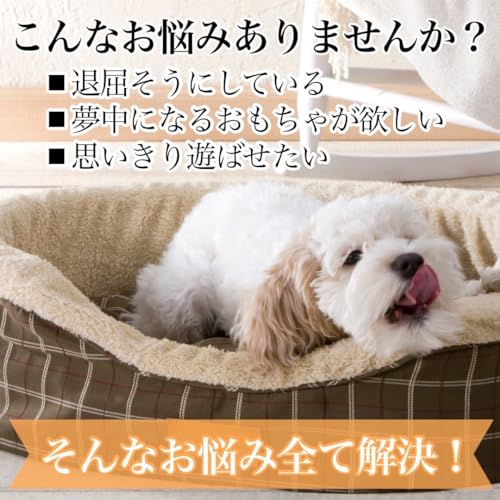 かみつきザウルス 3
