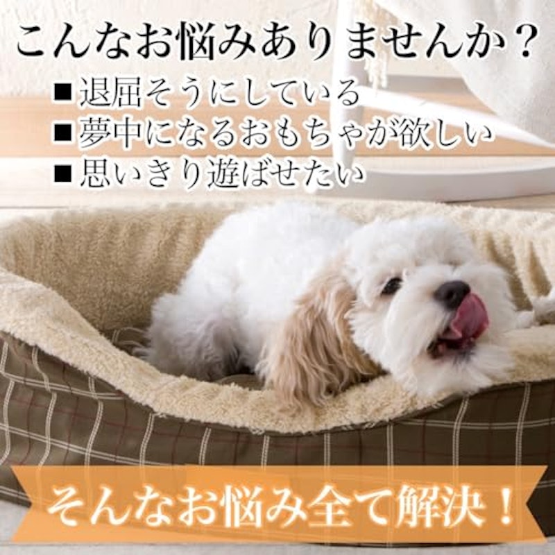 かみつきザウルス 3