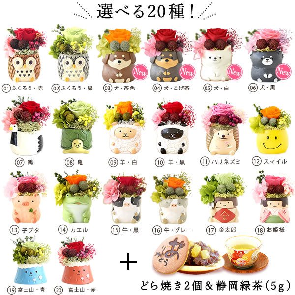 22年 お母さん向け誕生日プレゼントのおすすめ人気ランキング選 Mybest