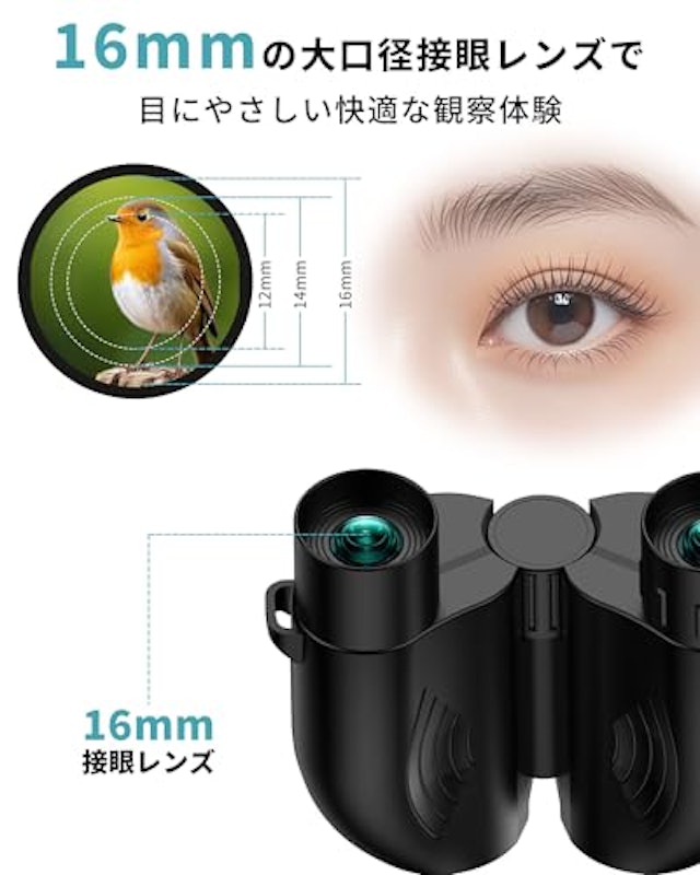 双眼鏡 3