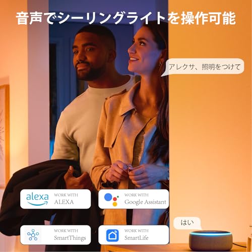 LEDシーリングライト 5