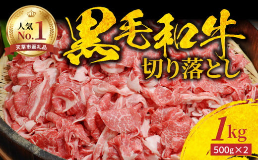 牛肉のふるさと納税返礼品のおすすめ人気ランキング【2026年6月】 1