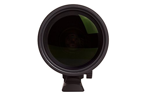 APO 150-500mm F5-6.3 DG OS HSM 7