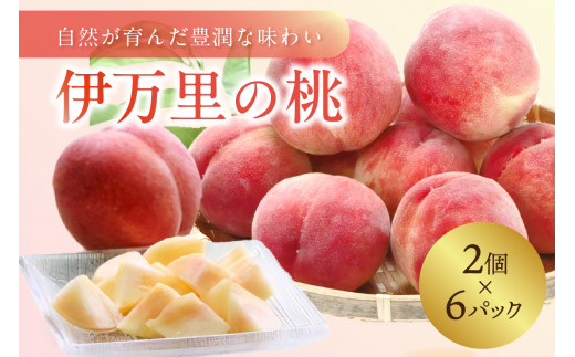 伊万里の桃 1